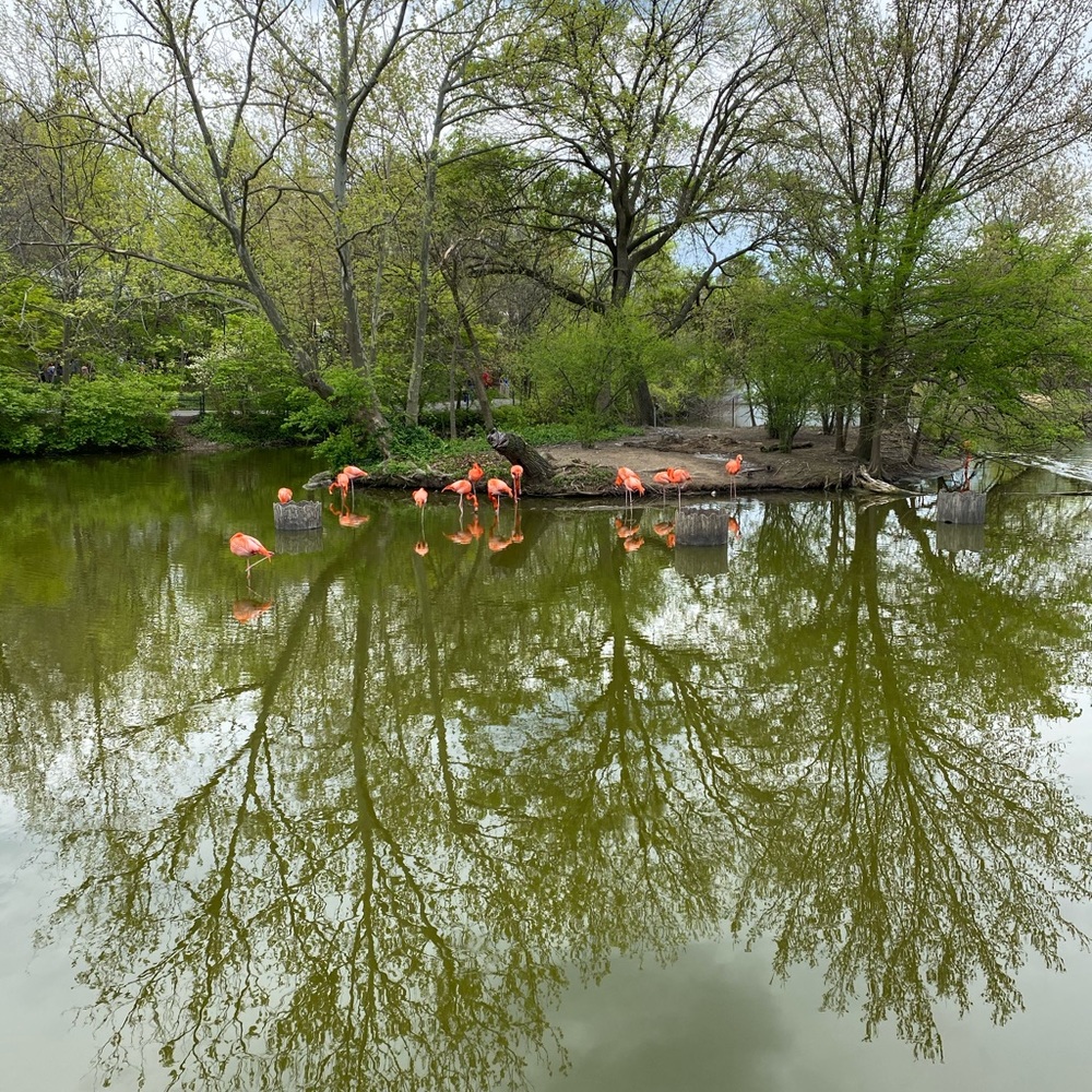 Meet your Posher, Samineh